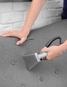Dry cleaning worker removing dirt from sofa indoors