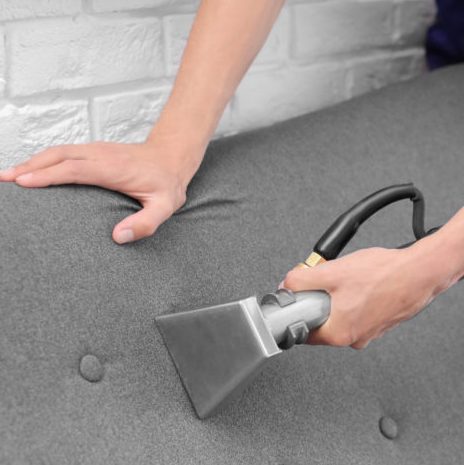 Dry cleaning worker removing dirt from sofa indoors