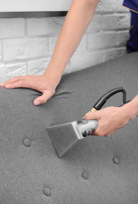 Dry cleaning worker removing dirt from sofa indoors